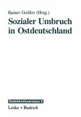 Sozialer Umbruch in Ostdeutschland (eBook, PDF)