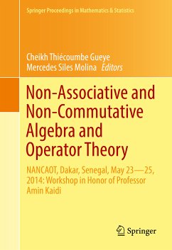 Non-Associative and Non-Commutative Algebra and Operator Theory (eBook, PDF)