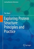 Exploring Protein Structure: Principles and Practice (eBook, PDF)