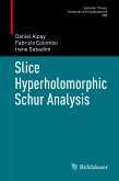 Slice Hyperholomorphic Schur Analysis (eBook, PDF)
