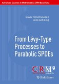 From Lévy-Type Processes to Parabolic SPDEs (eBook, PDF)