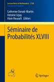 Séminaire de Probabilités XLVIII (eBook, PDF)