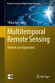 Multitemporal Remote Sensing (eBook, PDF)