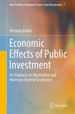 Economic Effects of Public Investment (eBook, PDF)