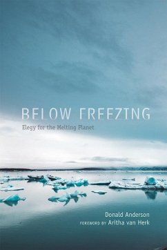 Below Freezing (eBook, ePUB) - Anderson, Donald