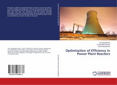 Optimization of Efficiency in Power Plant Reactors