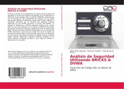 Análisis de Seguridad Utilizando BRICKS & DVWA - Flores Figueroa, Julian;Carrillo-V, Patricia-S;Garcia Corral, Gabriel