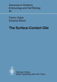 The Surface-Contact Glia (eBook, PDF)