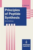 Principles of Peptide Synthesis (eBook, PDF)