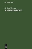 Jugendrecht (eBook, PDF)