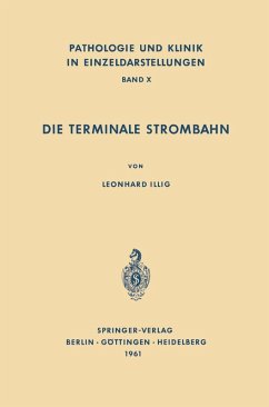 Cover Die Terminale Strombahn (eBook, PDF)