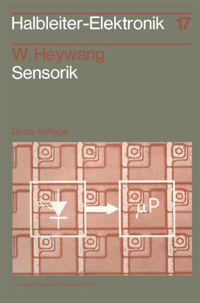 Sensorik (eBook, PDF)