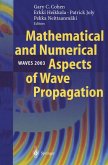 Mathematical and Numerical Aspects of Wave Propagation WAVES 2003 (eBook, PDF)