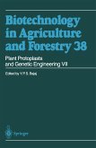 Plant Protoplasts and Genetic Engineering VII (eBook, PDF)