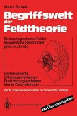 Begriffswelt der Feldtheorie (eBook, PDF)