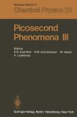 Picosecond Phenomena III (eBook, PDF)