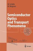 Semiconductor Optics and Transport Phenomena (eBook, PDF)