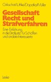 Gesellschaft, Recht und Strafverfahren (eBook, PDF)