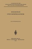 Induktion und Morphogenese (eBook, PDF)