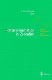 Pattern Formation in Zebrafish (eBook, PDF)