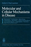 Molecular and Cellular Mechanisms in Disease (eBook, PDF)