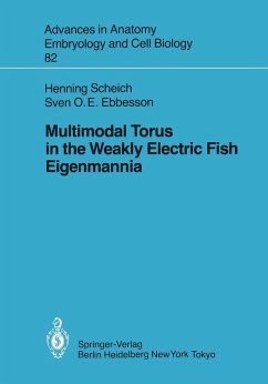 Cover Multimodal Torus in the Weakly Electric Fish Eigenmannia (eBook, PDF)