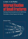 Internal Fixation of Small Fractures (eBook, PDF)