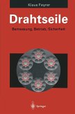 Drahtseile (eBook, PDF)