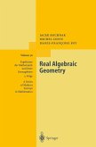 Real Algebraic Geometry (eBook, PDF)