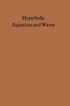 Hyperbolic Equations and Waves (eBook, PDF)