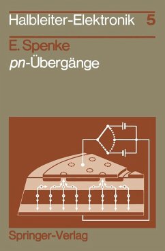 pn-Übergänge (eBook, PDF) - Spenke, E.