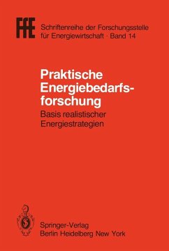 Praktische Energiebedarfsforschung (eBook, PDF) - Schaefer, Helmut