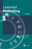 Strafvollzug (eBook, PDF)