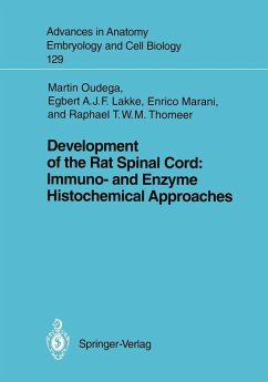 Development of the Rat Spinal Cord: Immuno- and Enzyme Histochemical Approaches (eBook, PDF) - Bach, Martin F.; Lakke, Egbert A. J. F.; Marani, Enrico; Thomeer, Raph T. W. M.