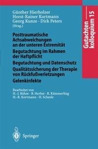 Gutachtenkolloquium 15 (eBook, PDF)