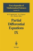 Partial Differential Equations IX (eBook, PDF)