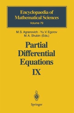 Partial Differential Equations IX (eBook, PDF)