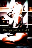 Der Spiegel der Lust 1 (eBook, ePUB)