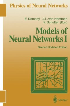 Cover Models of Neural Networks I (eBook, PDF)