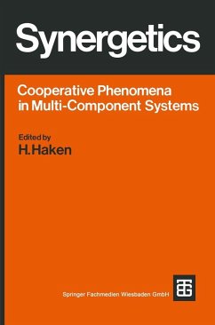 Cover Synergetics (eBook, PDF)