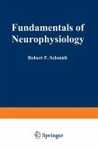 Fundamentals of Neurophysiology (eBook, PDF)