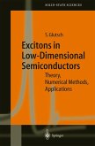 Excitons in Low-Dimensional Semiconductors (eBook, PDF)