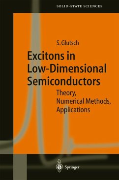 Excitons in Low-Dimensional Semiconductors (eBook, PDF) - Glutsch, Stephan