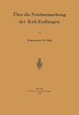 Über die Nutzbarmachung der Kali-Endlaugen (eBook, PDF)
