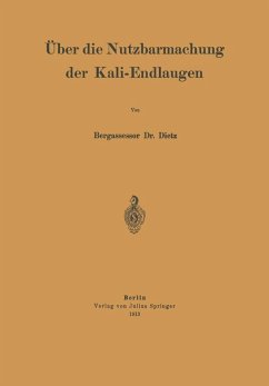 Über die Nutzbarmachung der Kali-Endlaugen (eBook, PDF) - Dietz, Na