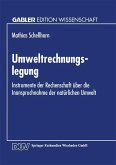 Umweltrechnungslegung (eBook, PDF)