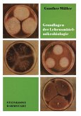 Grundlagen der Lebensmittelmikrobiologie (eBook, PDF)