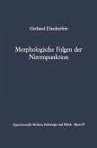 Morphologische Folgen der Nierenpunktion (eBook, PDF)