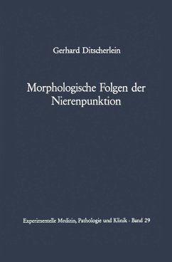 Cover Morphologische Folgen der Nierenpunktion (eBook, PDF)
