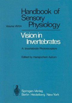 Cover Comparative Physiology and Evolution of Vision in Invertebrates (eBook, PDF)